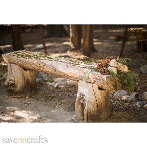 24 Birch Tree Round Pieces 1.5" -2.75"