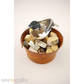 30 Mini Birch Rounds