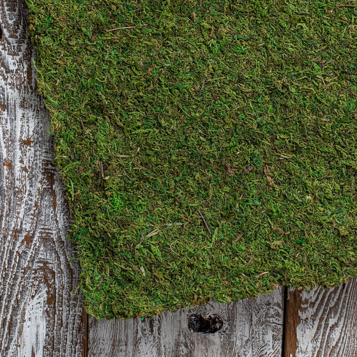 WORKING URL Preserved Moss Sheeting Runner