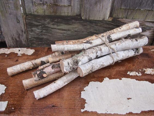 Birch WOOD BUNDLE - 11 White Birch Branches and Twigs - DIY Natural Centerpiece
