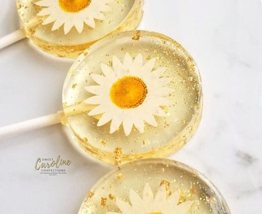 Daisy Flower Lollipops -Set of 6
