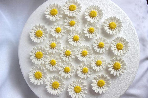 fondant flowers, 12 white wedding flowers